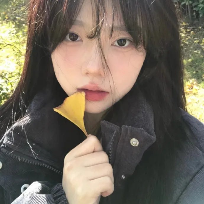 飞行艳使