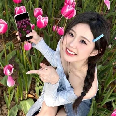情系洛川红苹果